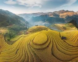 Hanoi 4x4 To Mu Cang Chai Terraces Fields Tour 2 Days